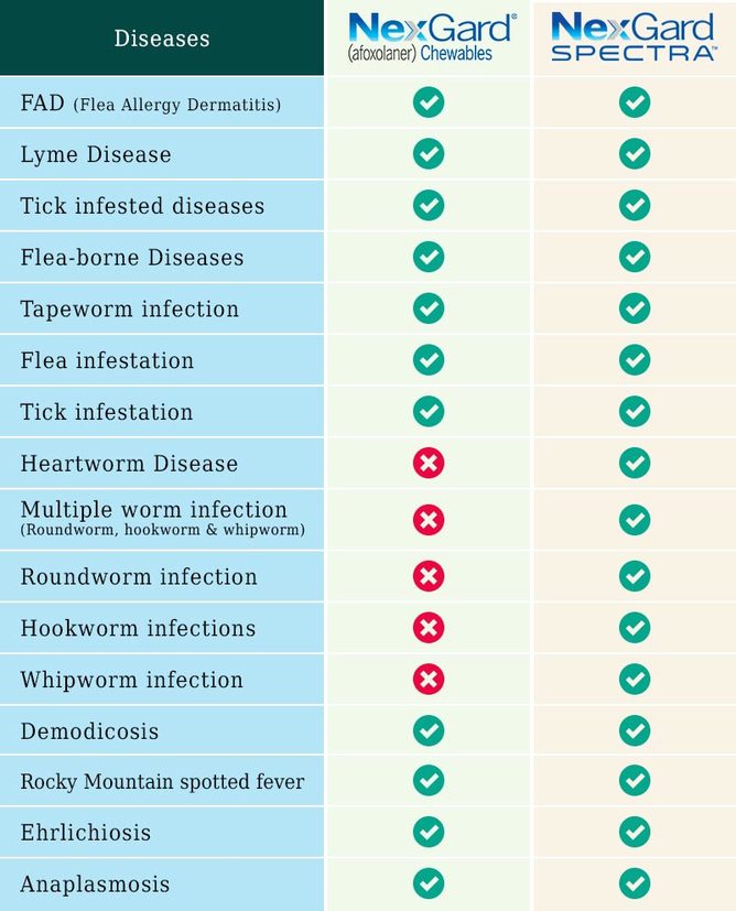 Compare-Diseases-Nexgard-Spectra-treatments